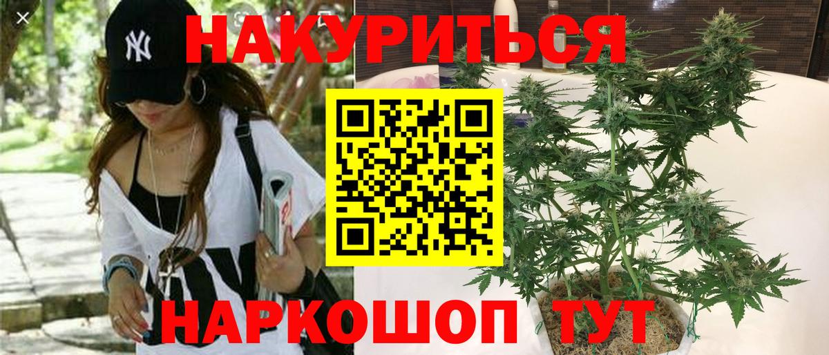 Конопля ГИДРОПОН  Конопля MAZAR  Каннабис семена  Домодедово  Вход с VPN 